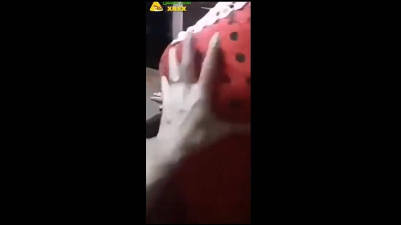 سكس تحرش منزلي مصري بيمسك بزاز امه واللبوة بتمسكله زبره الواقف عليها
