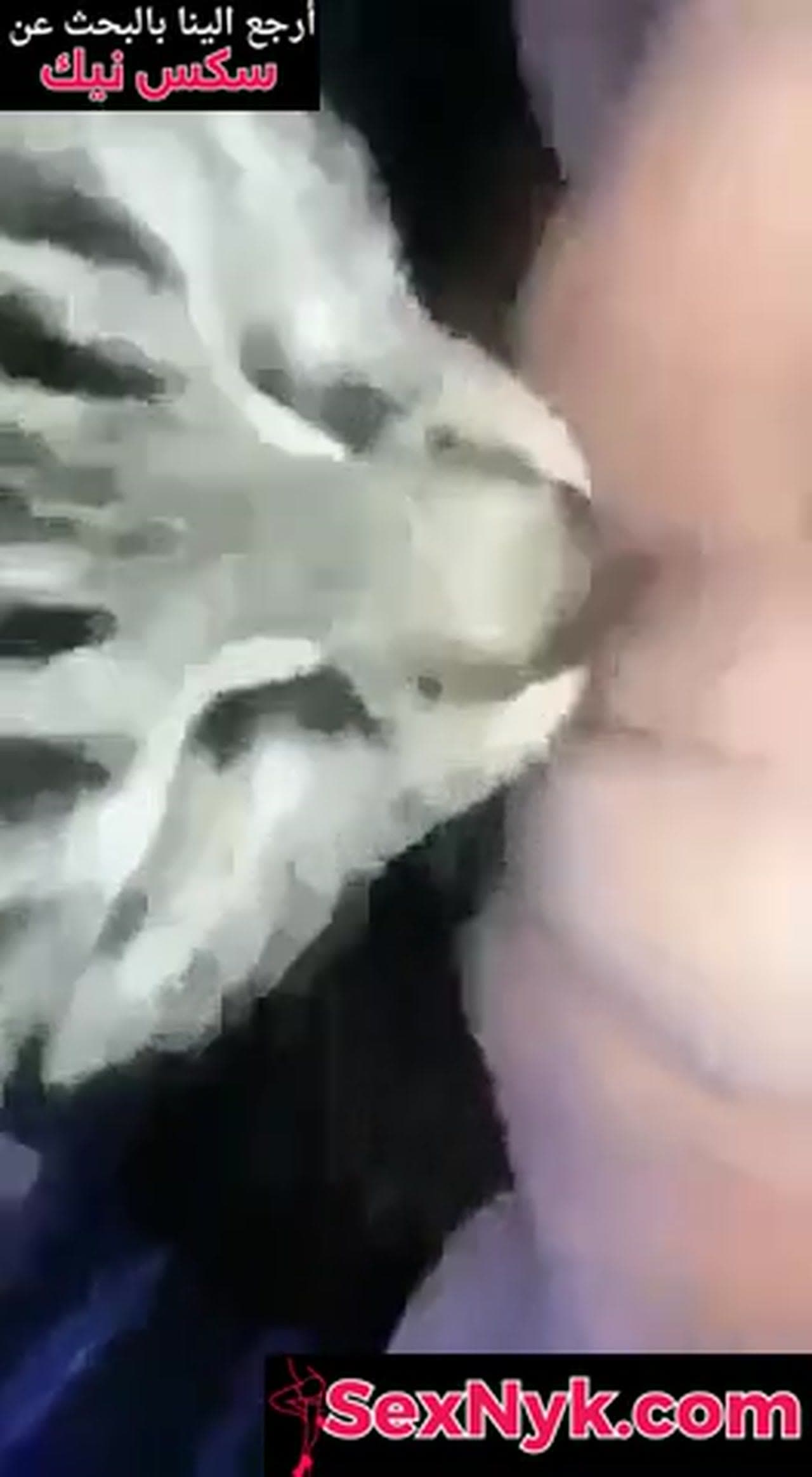 سكس مغربية جايبه قط يلحس كسها ويمتعها - سكس حيوانات