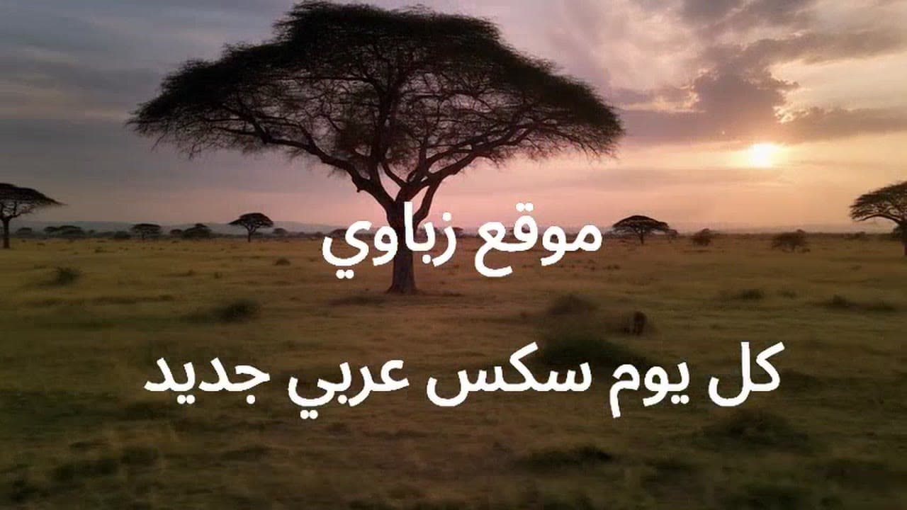 نيك مؤخرة تونسية كبيرة من الخلف بوضعية الدوجي ستايل – سكس عربي