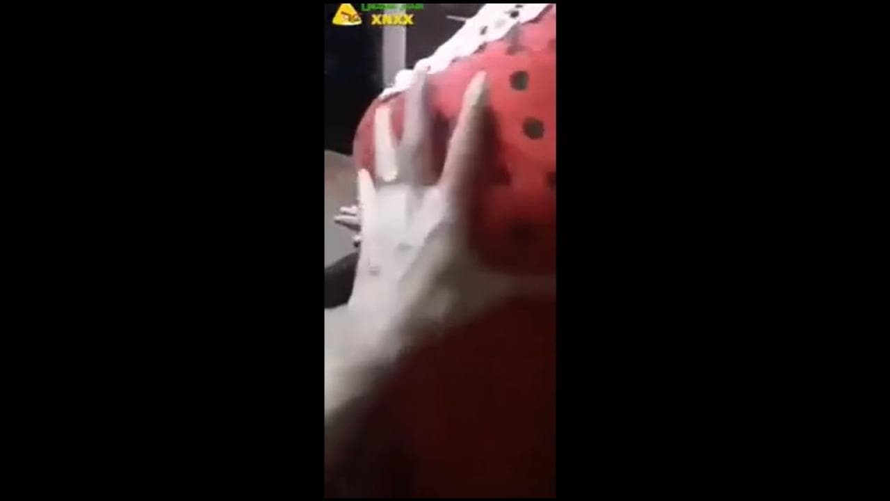 سكس تحرش منزلي مصري بيمسك بزاز امه واللبوة بتمسكله زبره الواقف عليها